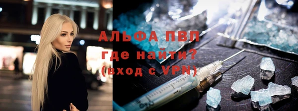 спиды Новозыбков