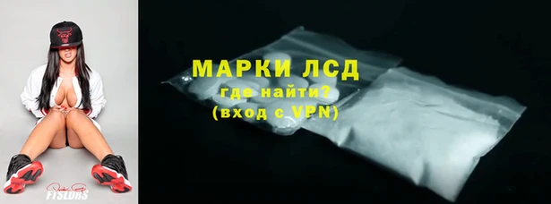прущие грибы Вуктыл
