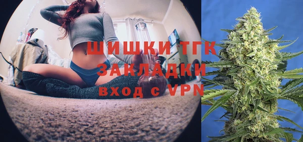 спиды Новозыбков
