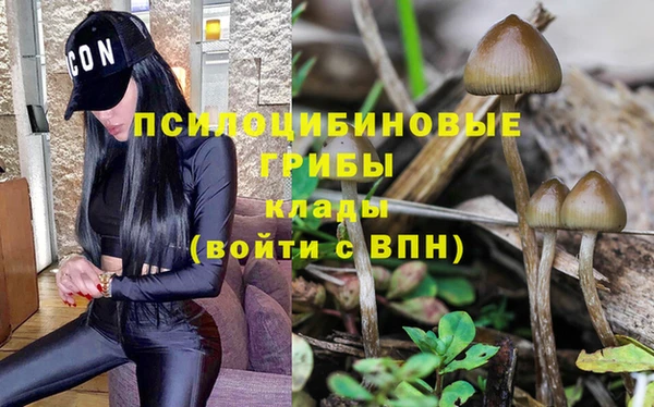 спиды Новозыбков