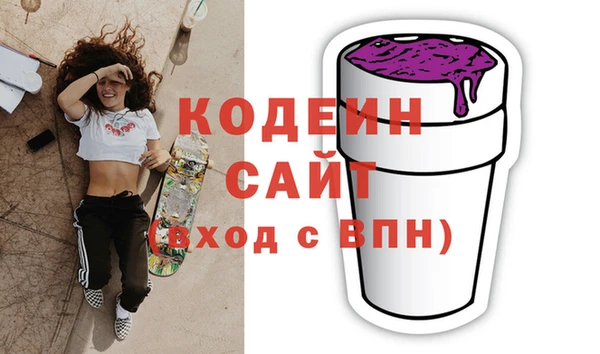 индика Беломорск
