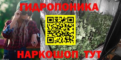 бошки Гагарин