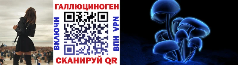 Галлюциногенные грибы Psilocybe  наркошоп  Мыски 