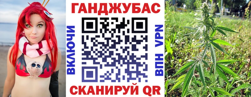 Канабис сатива  Мыски 